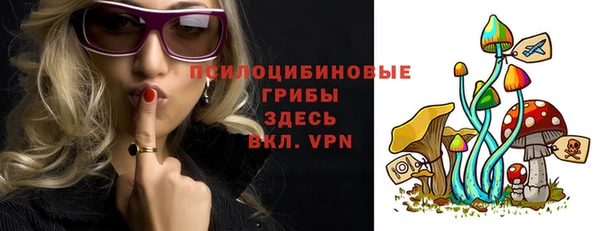 бошки Бугульма